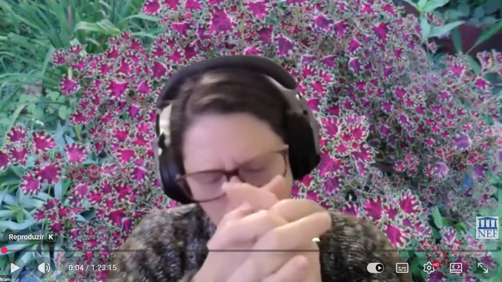 O PEREGRINO DE ALMA ESCOLHE SEU CAMINHO